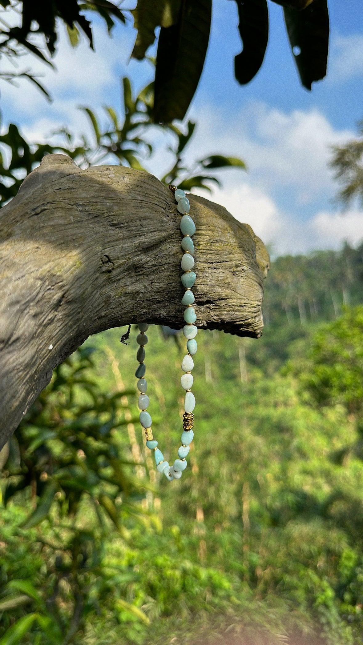 Collier coconut