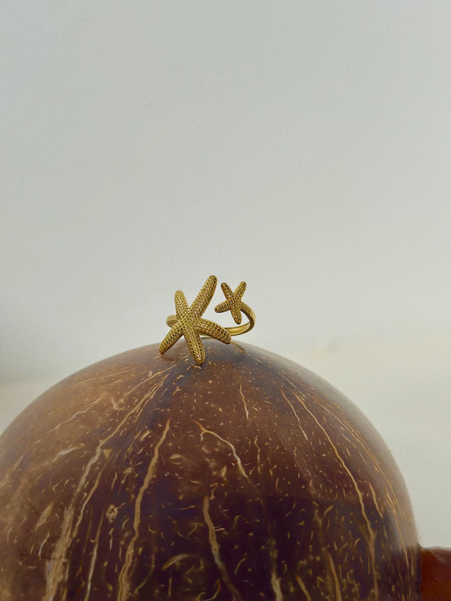 Bague Gao